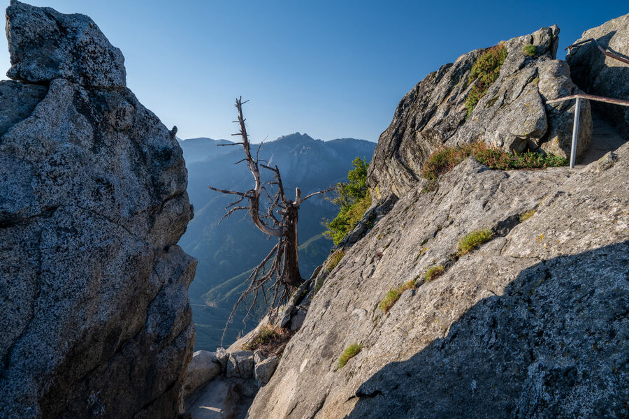 Sequioa National Park, CA